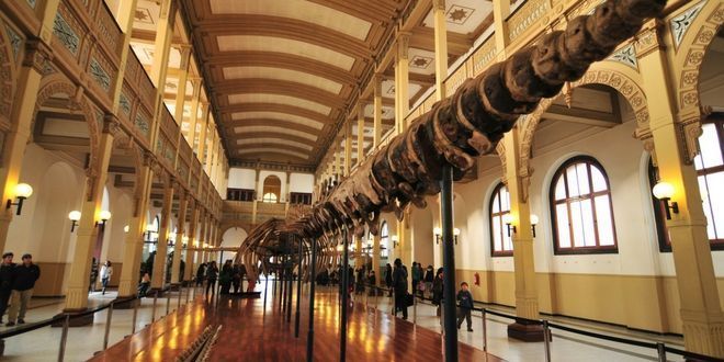 panoramas en santiago Museo Nacional de Historia Natural